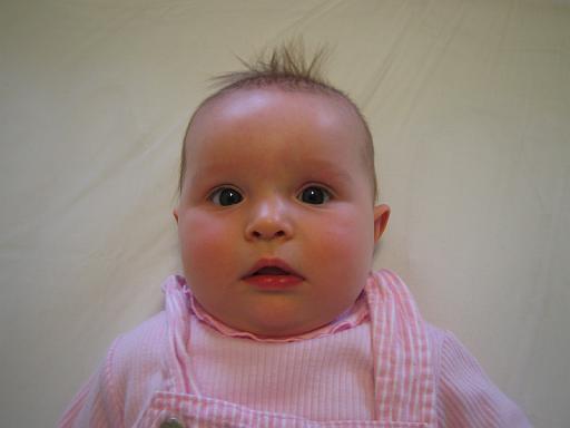 2006-05-13.baby_faces.baby_05_months.seren-snyder.uncertainty.livonia.mi.us 