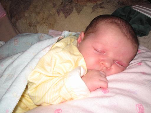 2005-12-21.portrait.baby_newborn.seren-snyder.3.livonia.mi.us 