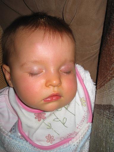 2006-07-23.portrait.baby_08_months.seren-snyder.02.livonia.mi.us 