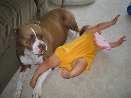 2006-08-04.portrait.baby_08_months.cocoa-seren-snyder.2.livonia.mi.us 