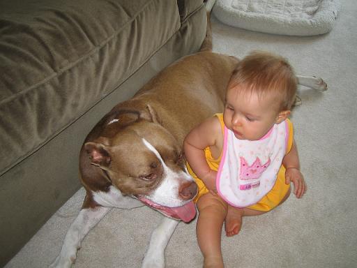2006-08-04.portrait.baby_08_months.cocoa-seren-snyder.3.livonia.mi.us 