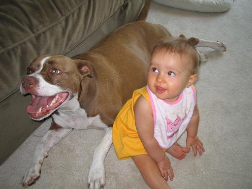 2006-08-04.portrait.baby_08_months.cocoa-seren-snyder.4.livonia.mi.us 