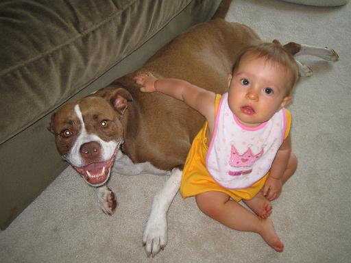 2006-08-04.portrait.baby_08_months.cocoa-seren-snyder.5.livonia.mi.us 