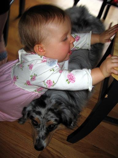 2006-09-12.portrait.baby_09_months.sidnee-seren-snyder.2.livonia.mi.us 