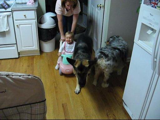 2006-09-27.playtime.baby_10_months.nessa-seren-snyder.2.video.720x480-13meg.livonia.mi.us 