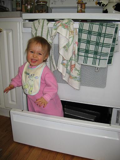 2006-11-24.portrait.baby_12_months.seren-snyder.06.livonia.mi.us 