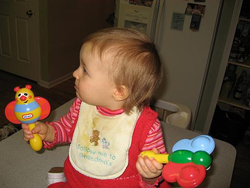 2006-11-30.portrait.baby_12_months.seren-snyder.17.livonia.mi.us 