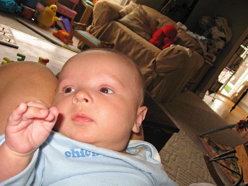 2007-09-26.portrait.baby_02_months.04.ronan-snyder.livonia.mi.us 