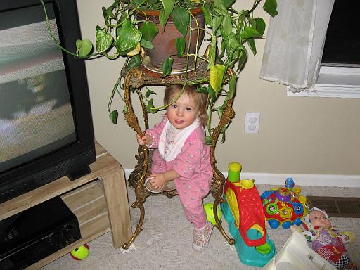 2007-02-18.portrait.baby_14_months.seren-snyder.17.livonia.mi.us 