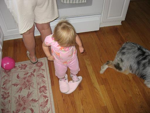 2007-07-01.portrait.baby_19_months.seren-snyder.13.livonia.mi.us 