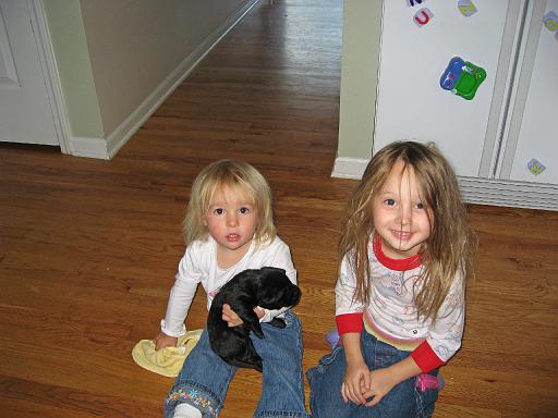 2007-10-12.puppies.8.matti-seren-snyder.livonia.mi.us 