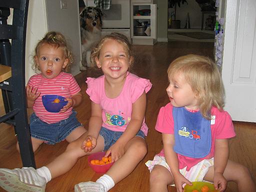 2007-08-09.portrait.seren-snyder.12.livonia.mi.us 