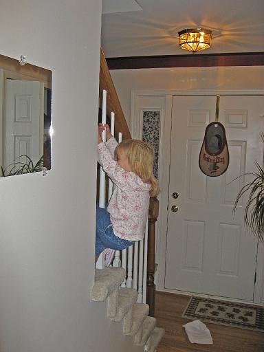 2007-11-30.climbing_stairs.seren-snyder.01.livonia.mi.us 