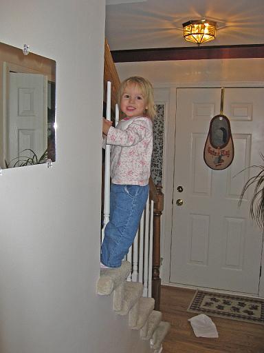 2007-11-30.climbing_stairs.seren-snyder.02.livonia.mi.us 