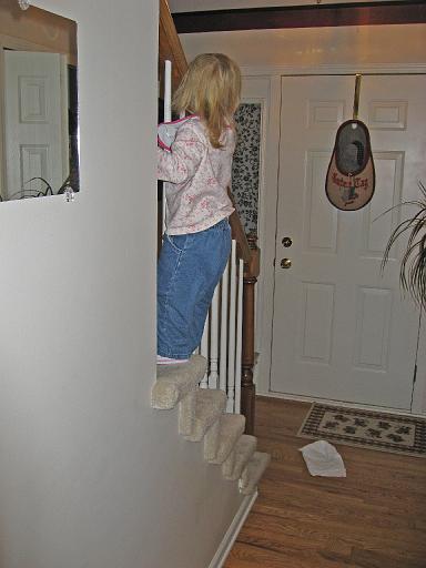 2007-11-30.climbing_stairs.seren-snyder.03.livonia.mi.us 