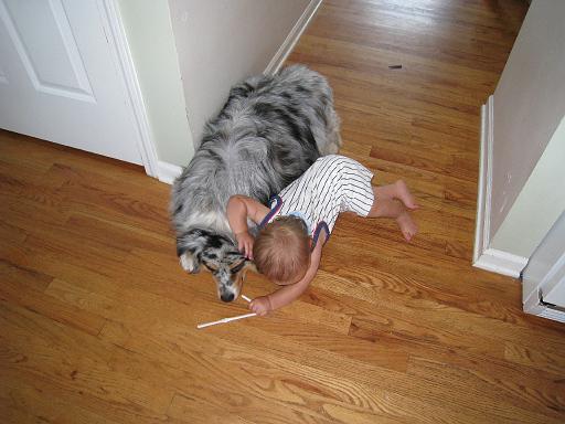 2008-06-16.portrait.baby_10_months.018.sidnee-ronan-snyder.fav.livonia.mi.us 