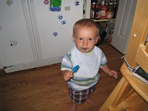 2008-06-26.portrait.baby_11_months.001.ronan-snyder.livonia.mi.us 