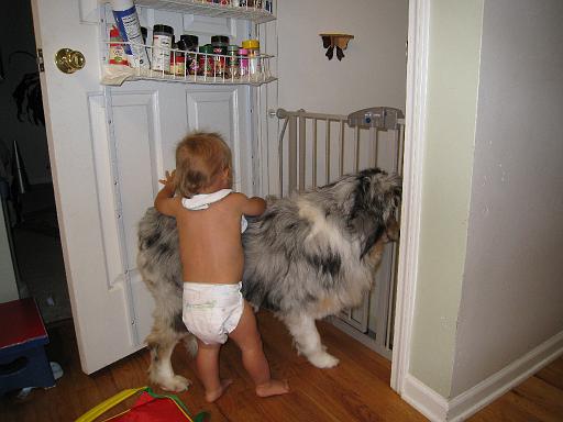 2008-08-04.portrait.baby_12_months.022.sidnee-ronan-snyder.livonia.mi.us 