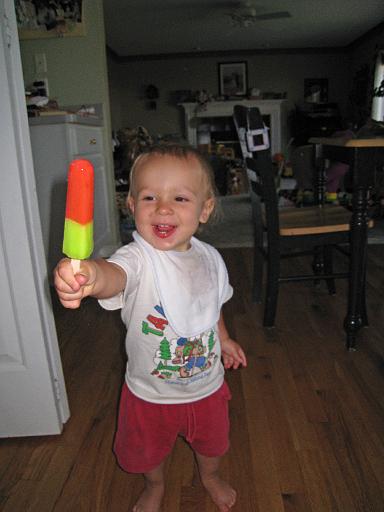 2008-08-11.portrait.baby_12_months.034.ronan-snyder.livonia.mi.us 