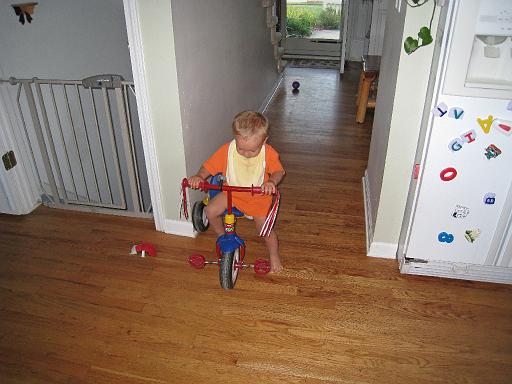 2008-08-19.portrait.baby_12_months.038.ronan-snyder.livonia.mi.us 