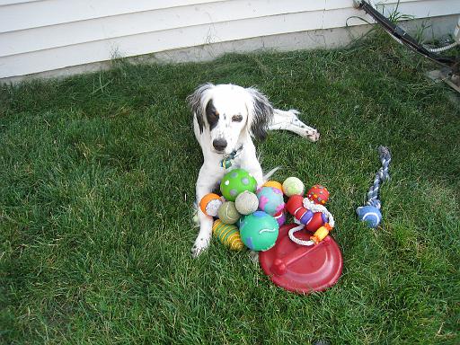 2008-08-04.portrait.06.gracie.livonia.mi.us 