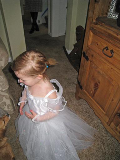 2008-04-06.princess_party.01.seren-snyder.livonia.mi.us 