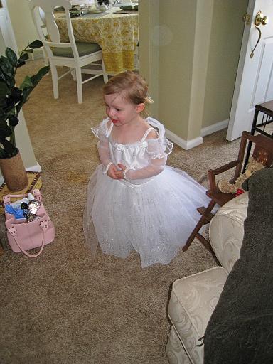 2008-04-06.princess_party.02.seren-snyder.livonia.mi.us 