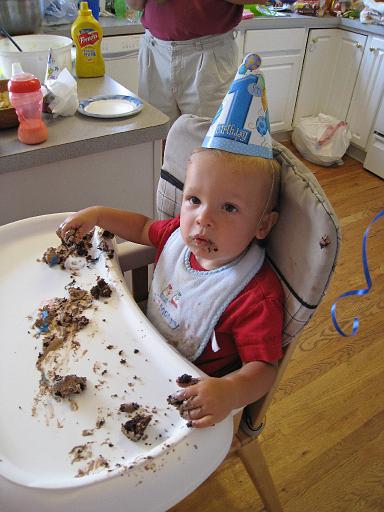 2008-07-26.ronan.1yr_birthday.14.ronan-snyder.livonia.mi.us 