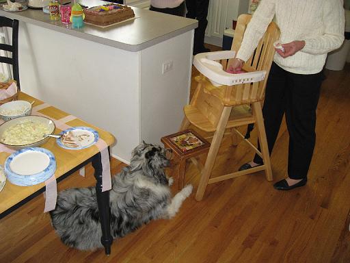 2006-11-19.seren.1yr_birthday.cake.02.sidnee.livonia.mi.us 