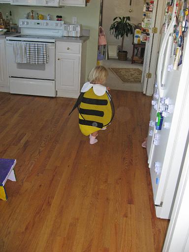 2007-10-28.halloween.01.bee.seren-snyder.livonia.mi.us 