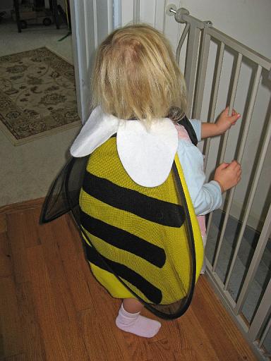 2007-10-28.halloween.03.bee.seren-snyder.livonia.mi.us 