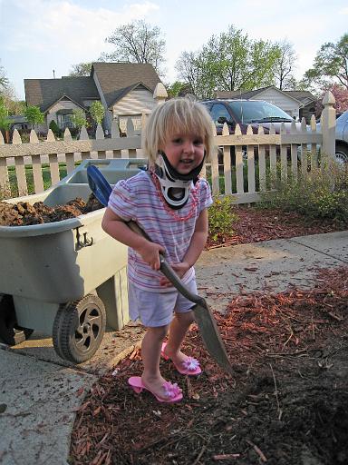2008-05-06.gardening.seren-snyder.03.livonia.mi.us 