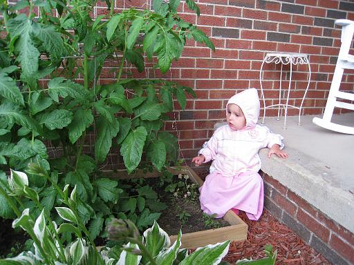 2008-06-23.gardening.seren-snyder.09.livonia.mi.us 