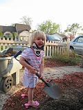 2008-05-06.gardening.seren-snyder.05.livonia.mi.us.jpg