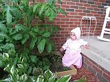 2008-06-23.gardening.seren-snyder.09.livonia.mi.us.jpg