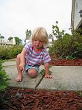 2008-06-28.gardening.seren-snyder.12.mushroom.livonia.mi.us.jpg