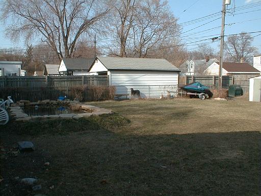 1999-00-00.spring.yard_back.sasha.1.redford.mi.us 