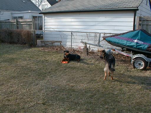 1999-00-00.spring.yard_back.schone-sasha.3.redford.mi.us 