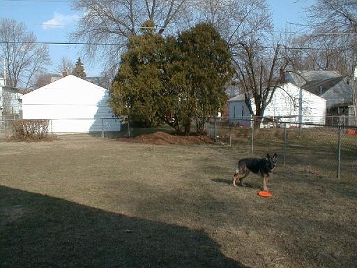 1999-03-00.spring.mulch.unloading.5.schone.redford.mi.us 