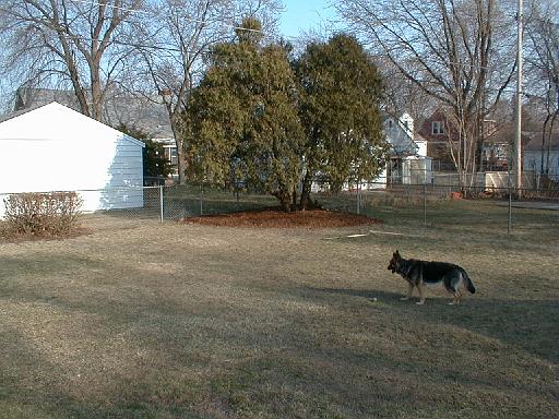 1999-03-00.spring.mulch.unloading.6.schone.redford.mi.us 