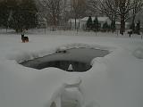 1999-01-04.pond.snow.2.redford.mi.us