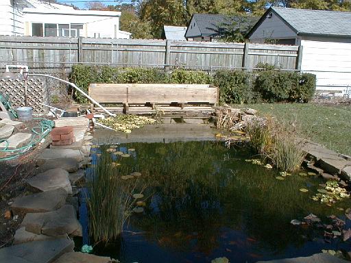 1999-00-00.pond.wood_trough.1.redford.mi.us 