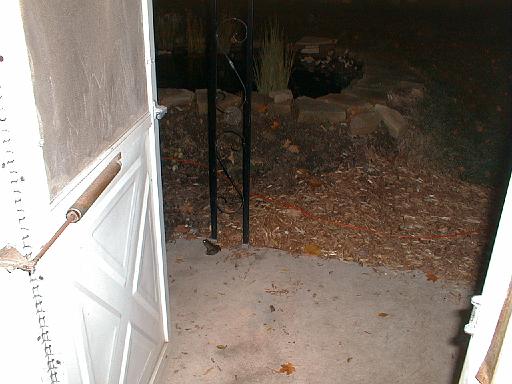 1999-10-17.pond.bullfrog.patio.1.redford.mi.us 