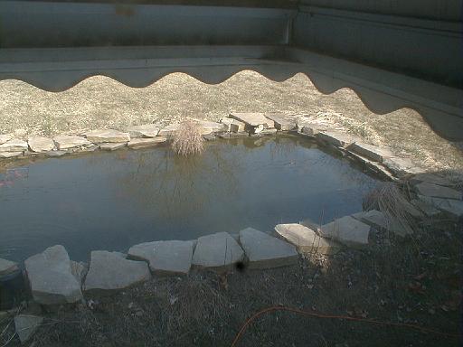 2001-00-00.pond.1.redford.mi.us 