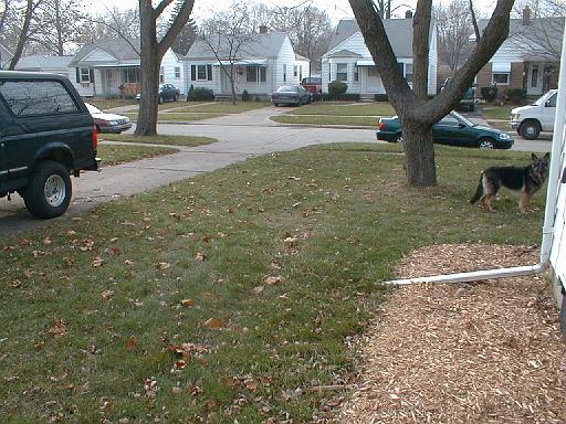 1999-00-00.view_accoss_street.schone.redford.mi.us 