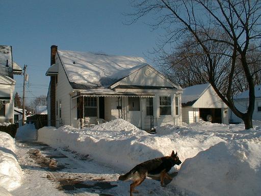 1999-01-17.schone.winter.sidewalk.2.redford.mi.us 