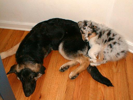 2003-00-00.reisa-sidnee.lying_down.5.fav.redford.mi.us 