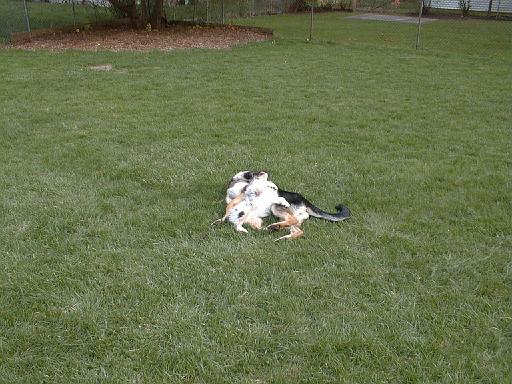 2003-00-00.reisa-sidnee.playing.03.redford.mi.us 