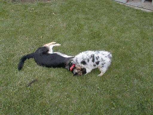 2003-00-00.reisa-sidnee.playing.05.redford.mi.us 