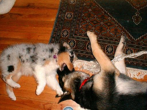 2003-00-00.reisa-sidnee.playing.10.redford.mi.us 